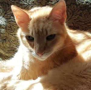 Meet your Posher, Gina